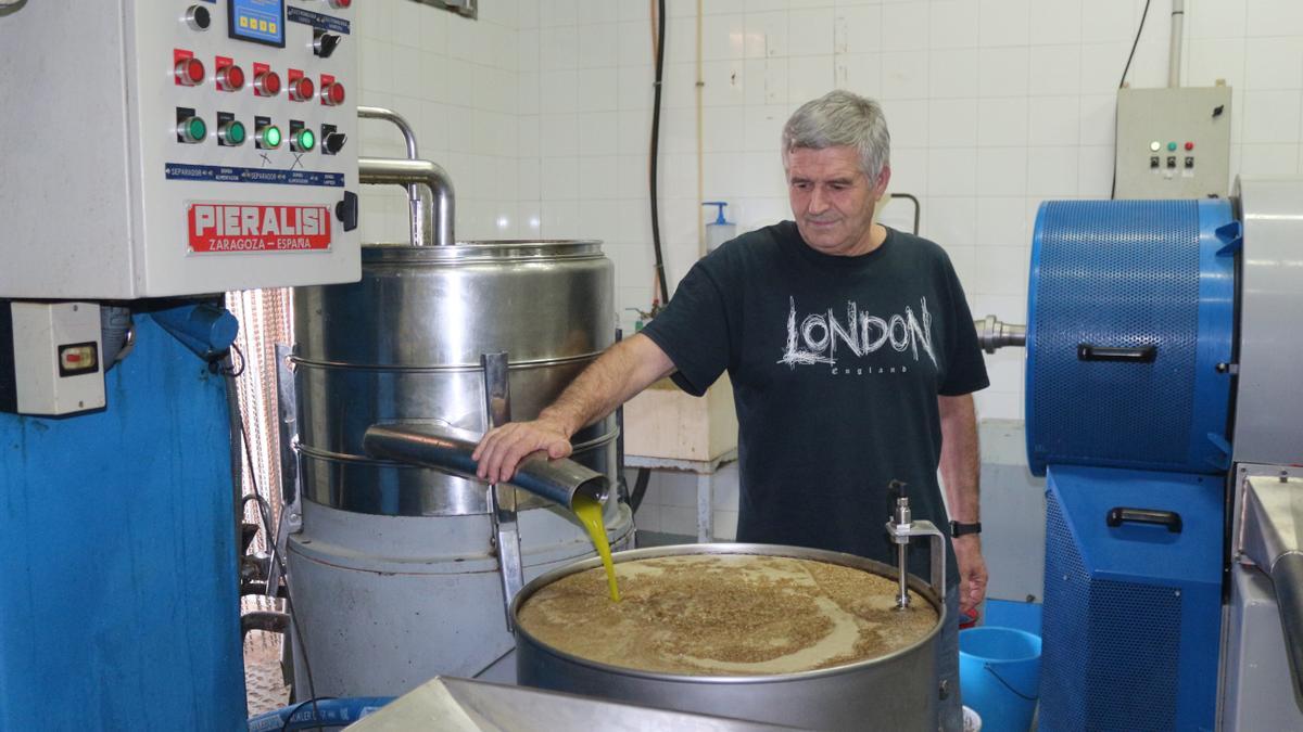 La cooperativa de Segorbe ya tiene su primer aceite EnVerde.