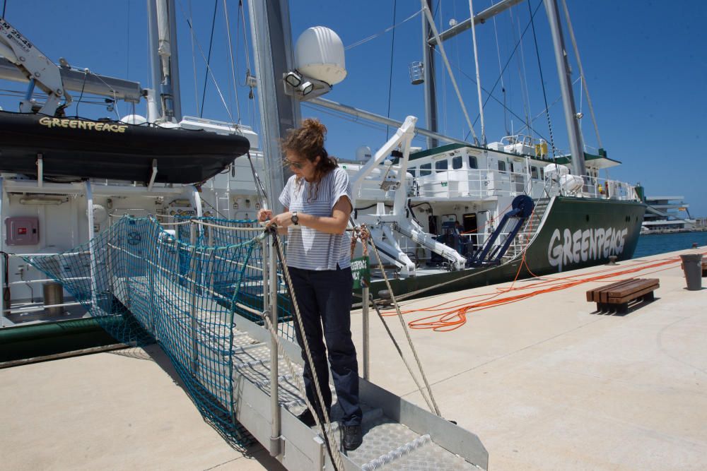 El Rainbow Warrior de Greenpeace atracado en el puerto de València.