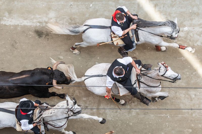 Fotogalería de la segunda Entrada de Toros y Caballos de Segorbe