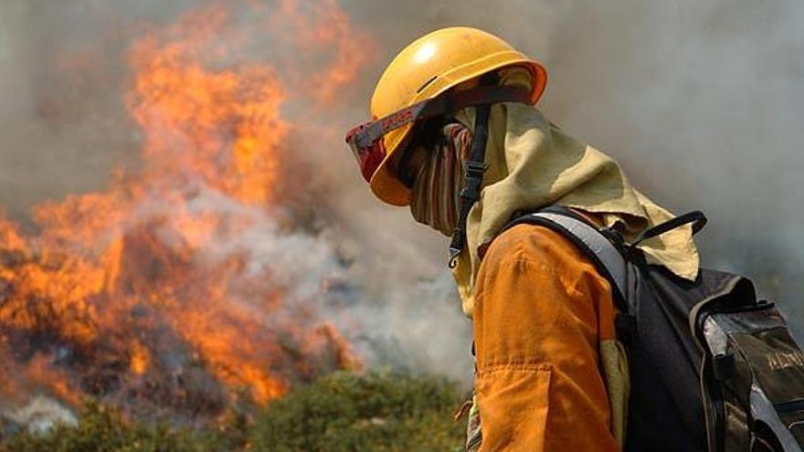 Un integrante de una brigada trabajando en las labores de extinción de un incendio.