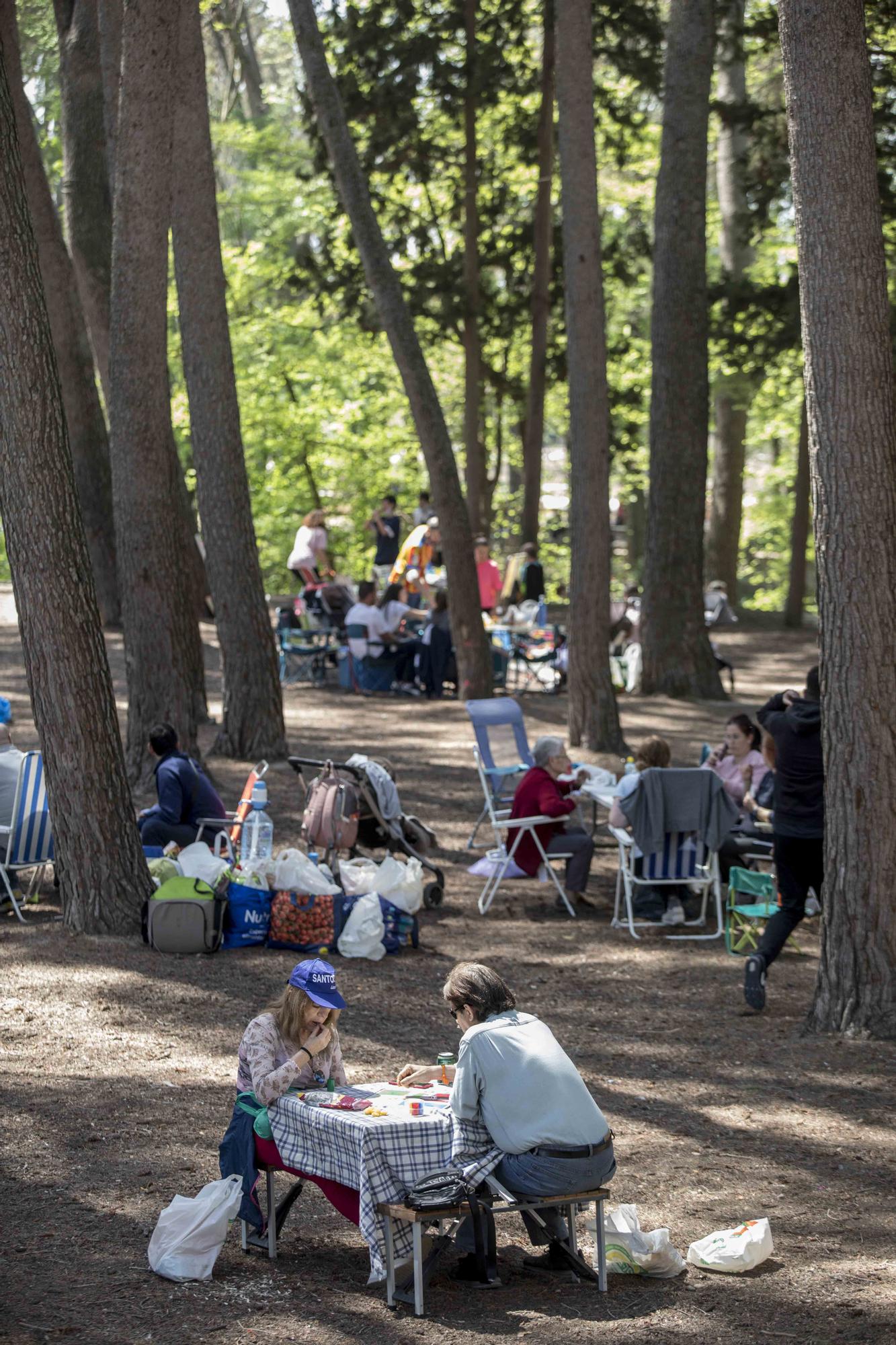 El Parc d San Vicent de Lliria vuelve a llenarse de familias dos años depués