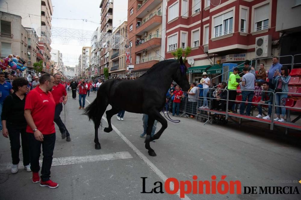 Caballos del Vino: Concurso morfológico (salida Pl