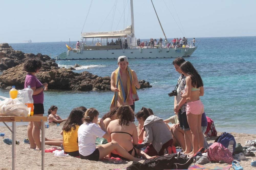 Día de la Mona en Cartagena