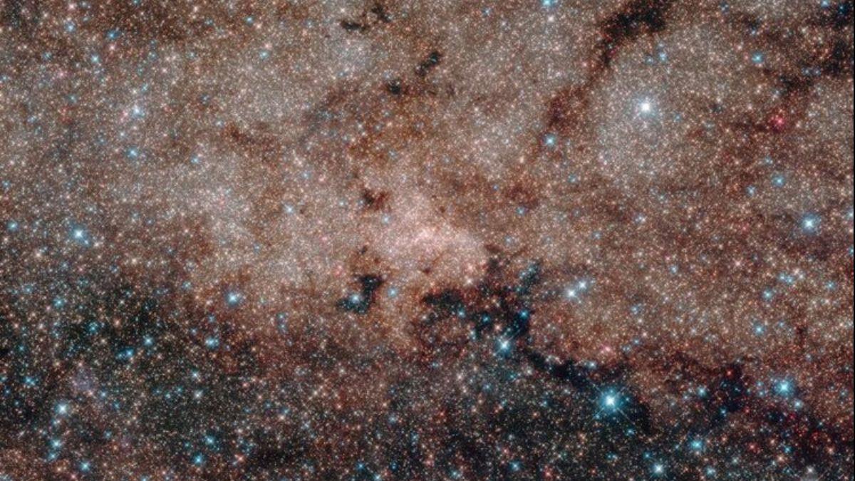 Un sector rico en estrellas de nuestra galaxia, la Vía Láctea, de acuerdo a la visión del Telescopio Espacial Hubble.