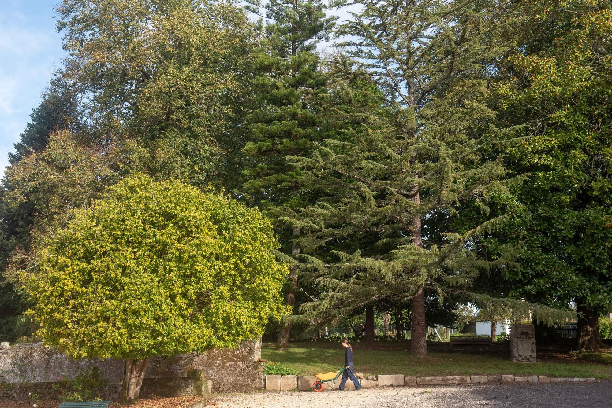 Así es el Pazo Illobre, en Betanzos