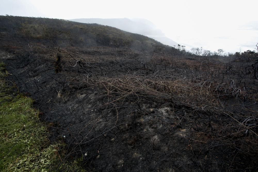 Incendio en el entorno del playón de Bayas