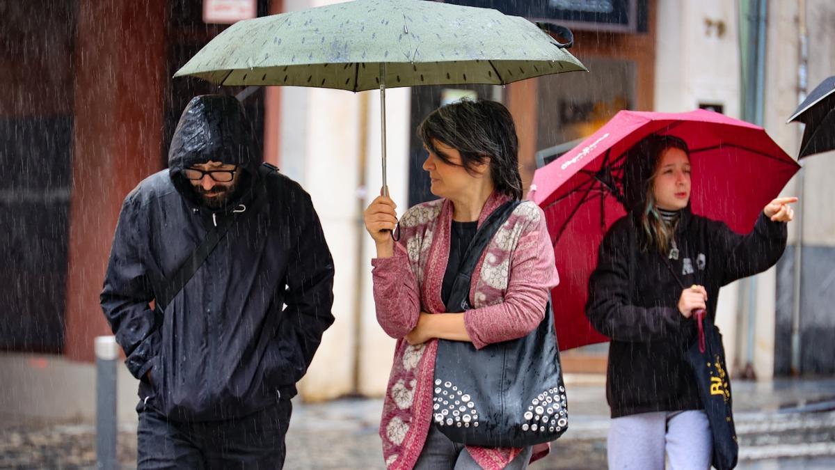 Lluvia en Alicante en un vídeo de archivo.