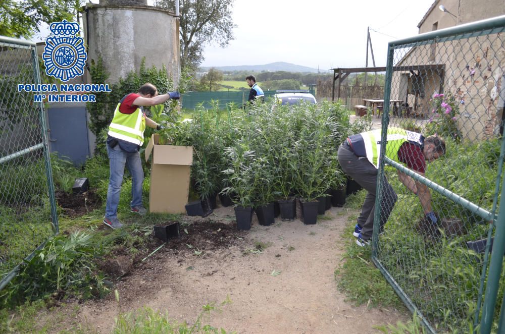 Desarticulen un grup de narcotraficants ubicat a la Costa Brava