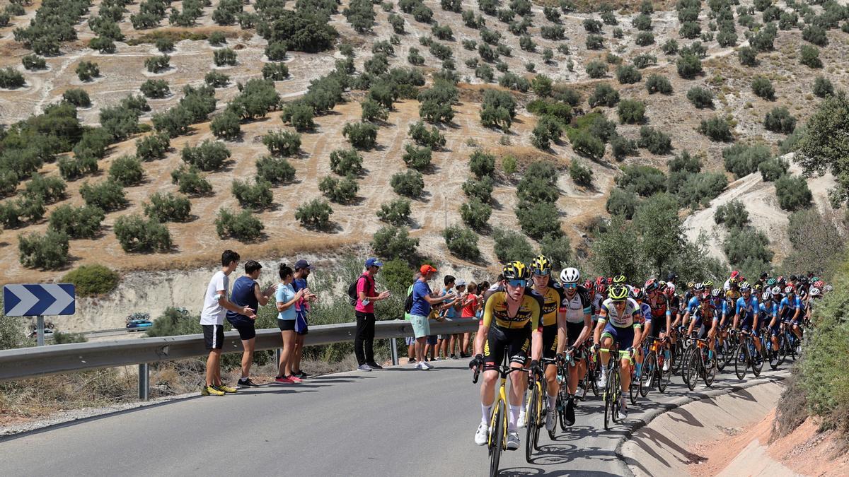 Etapa 12 de la Vuelta: Jaén - Córdoba