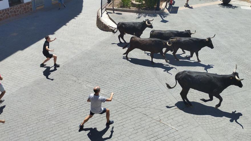 Muere un vecino de Almedíjar por la cogida de un toro en un encierro de las fiestas