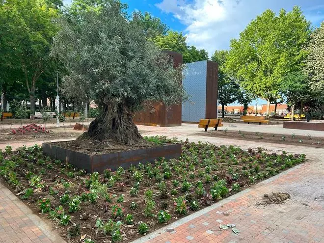 GALERÍA | Cambios en los Paseos de la Mota y un albergue de peregrinos reformado y más amplio, en imágenes