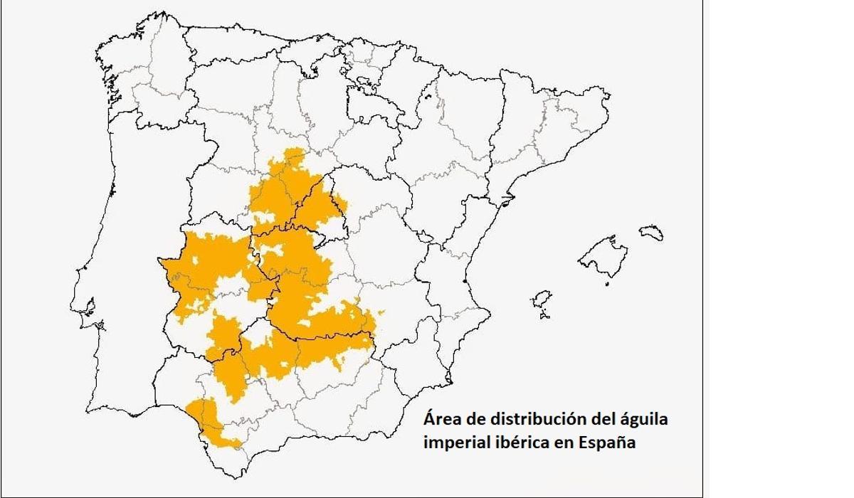 Distribución del águila imperial en la década pasada