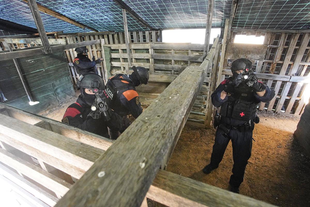 Així treballa i entrena l'ARRO dels Mossos de la regió policial de Girona