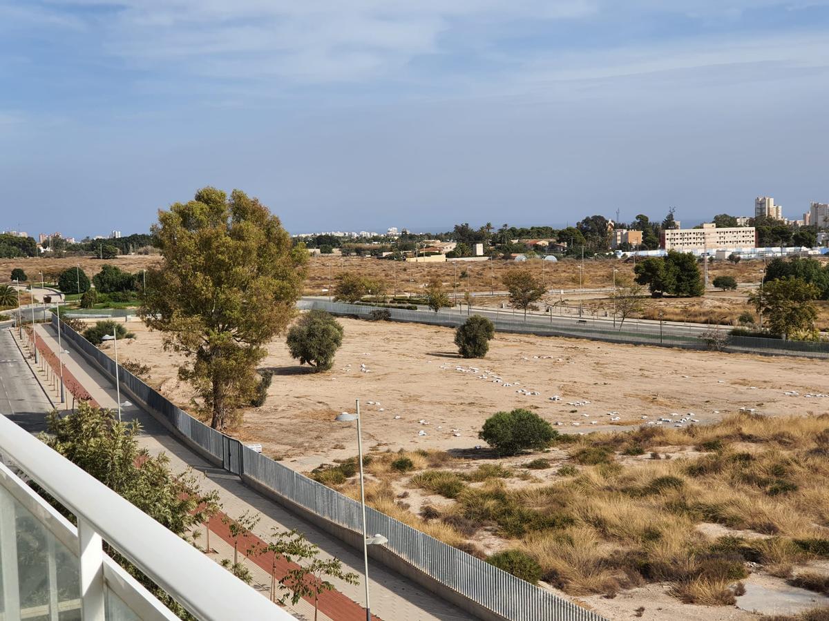 El solar donde se van a instalar las aulas prefabricadas mientras se construye el IES.