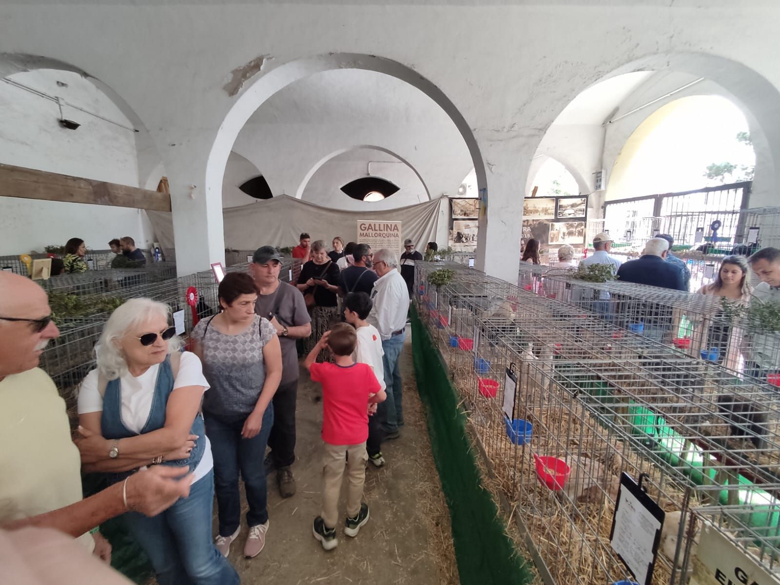 La Fira de Sineu, en imágenes