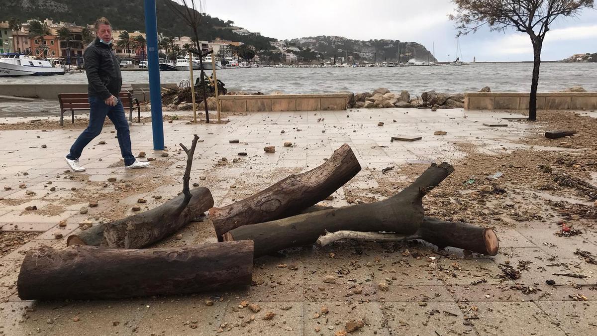 Bella provoca grandes destrozos en el Port d'Andratx