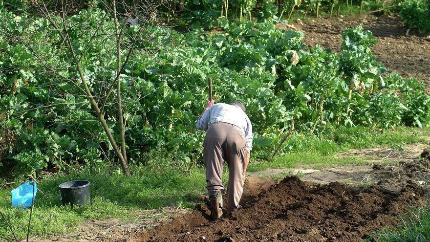 El «edadismo» ensombrece la buena racha del mercado laboral gallego: uno de cada tres parados tiene más de 55 años
