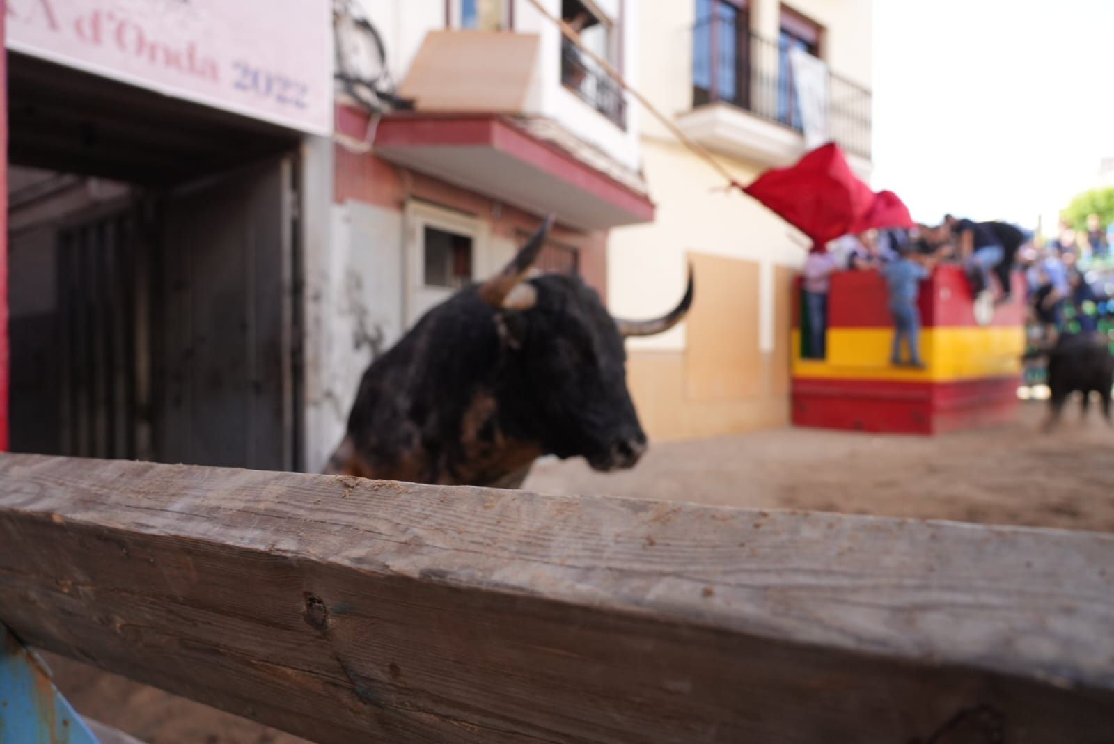 Las mejores imágenes del encierro de  Couto de Fornilhos y Santa Teresa en Onda