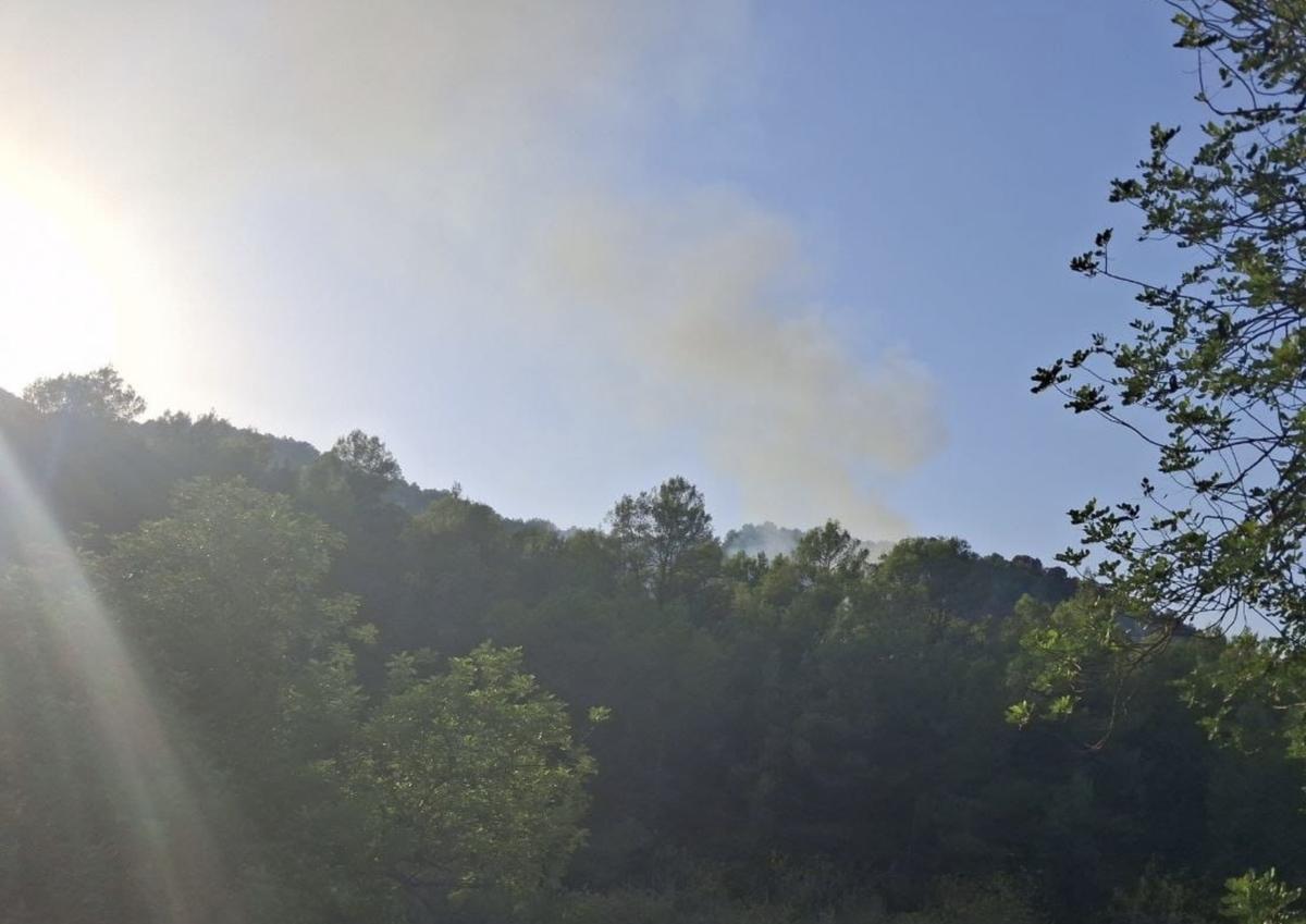 Columna de humo localizada en el término municipal de Tales que ha puesto en Alerta a los servicios de extinción de incendios.