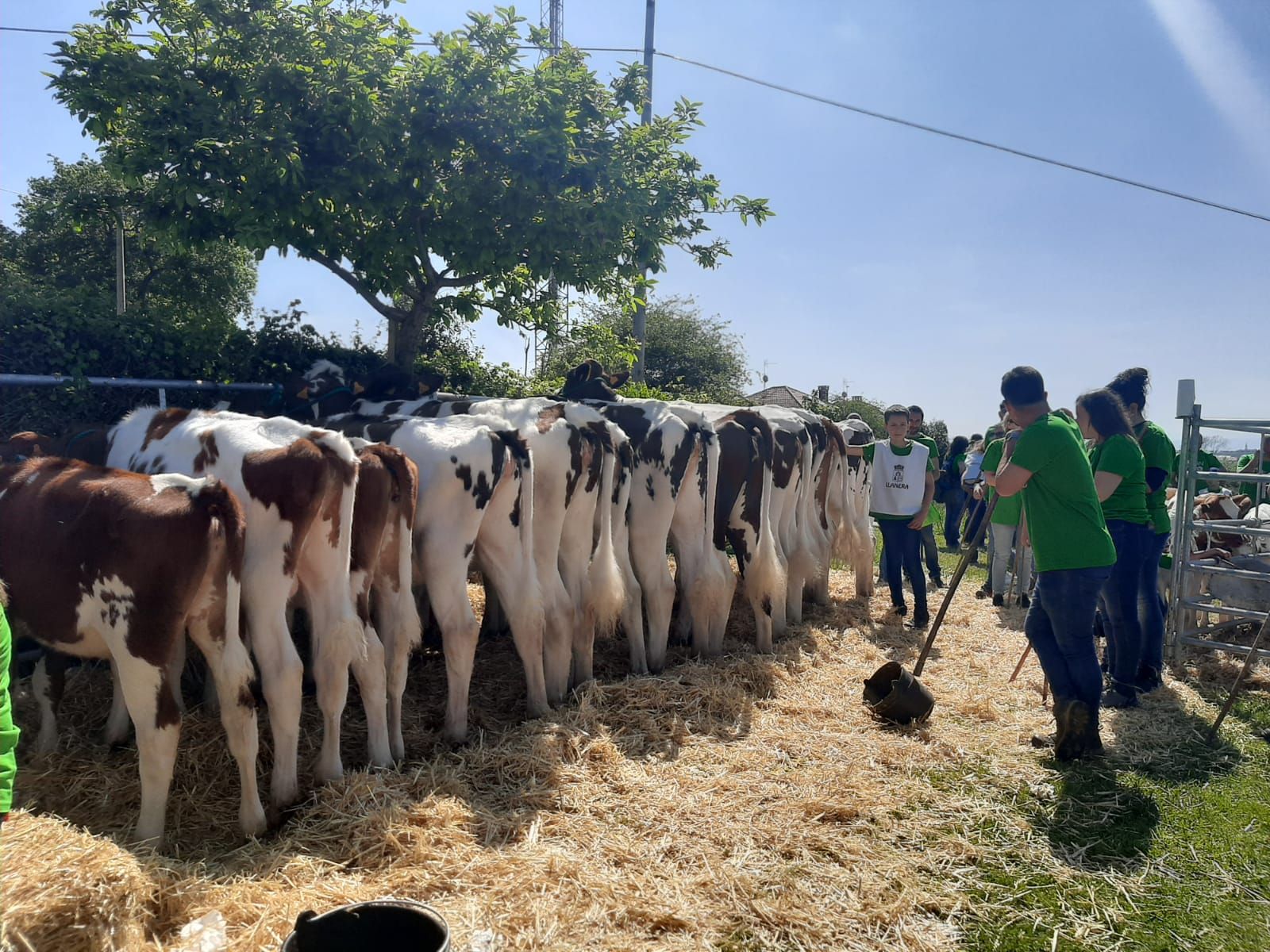 Llanera celebra por todo lo alto San Isidro