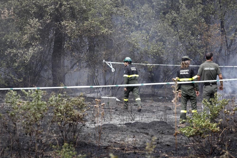 Incendi a Riudellots de la Selva