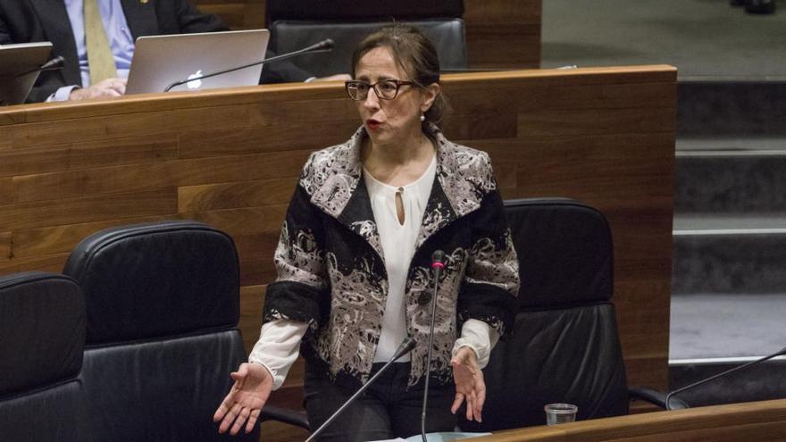 Belén Fernández, en una reciente comparecencia en la Junta General.