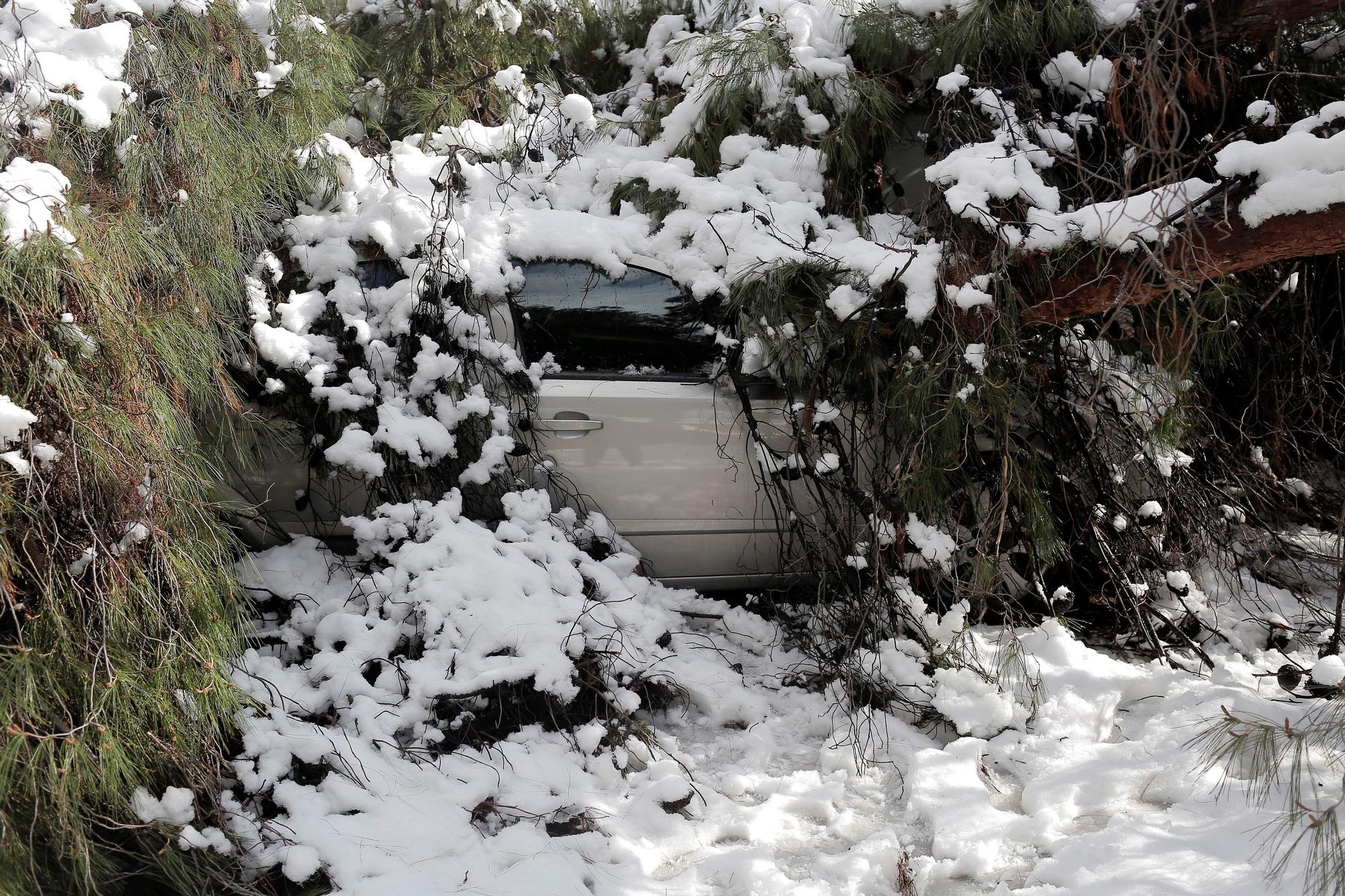 Grecia, bajo una gran nevada provocada por el temporal Elpis.