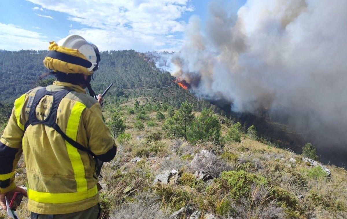 Un agente ambiental en la extinción de un incendio en Galicia