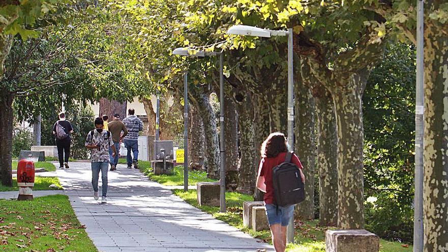 Farolas en el Paseo da Igualdade del campus.   | // IÑAKI OSORIO