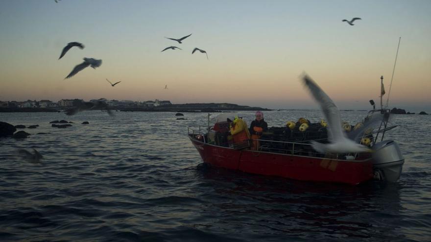 Uno de los barcos habituales dedicados a la pesca nocturna de nécora y camarón. |   // IÑAKI ABELLA