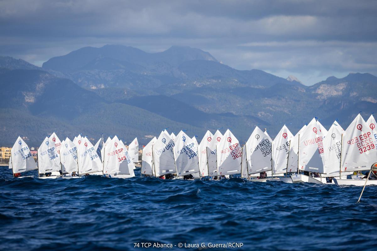 La flota, durante una de las salidas en la Bahía de Palma.