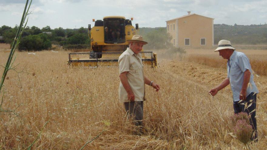 Este año los agricultores han sufrido una sequía «alarmante».