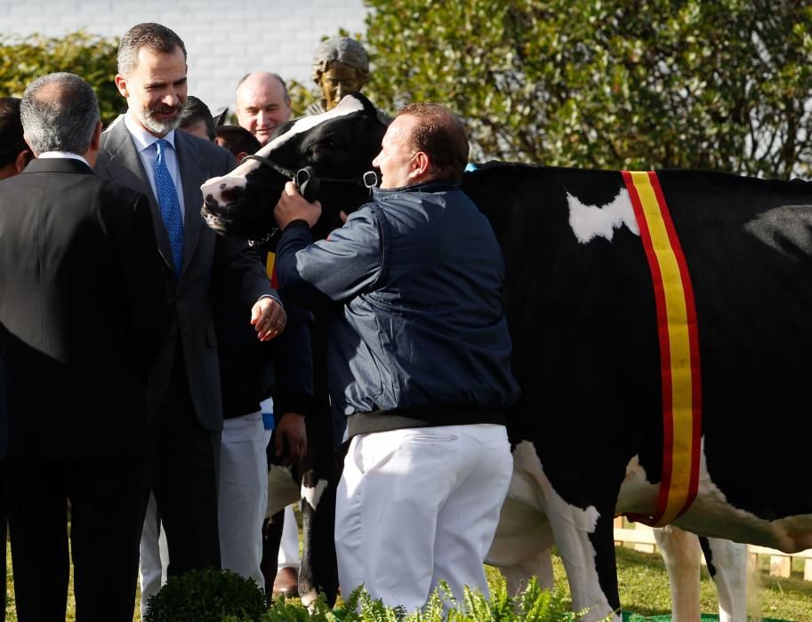 El Rey participa en el 50.º aniversario de Clas