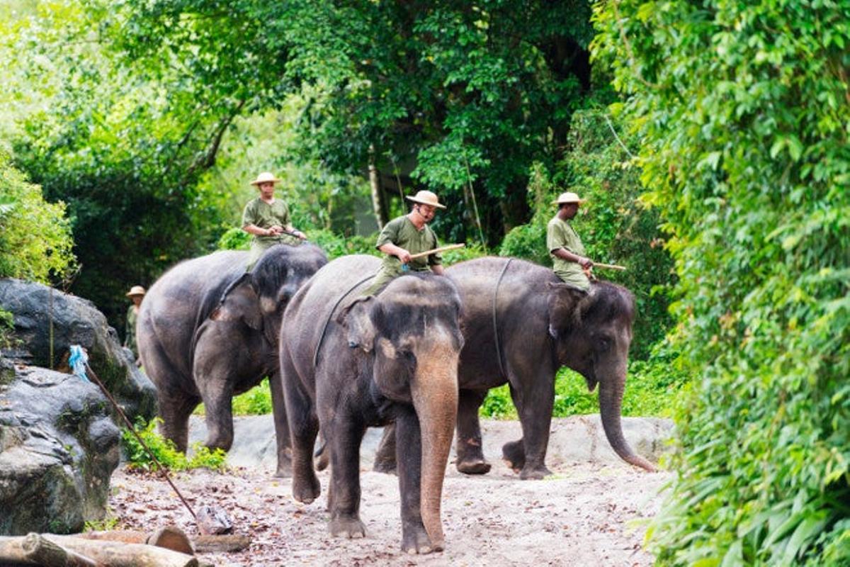 Zoológico de Singapur