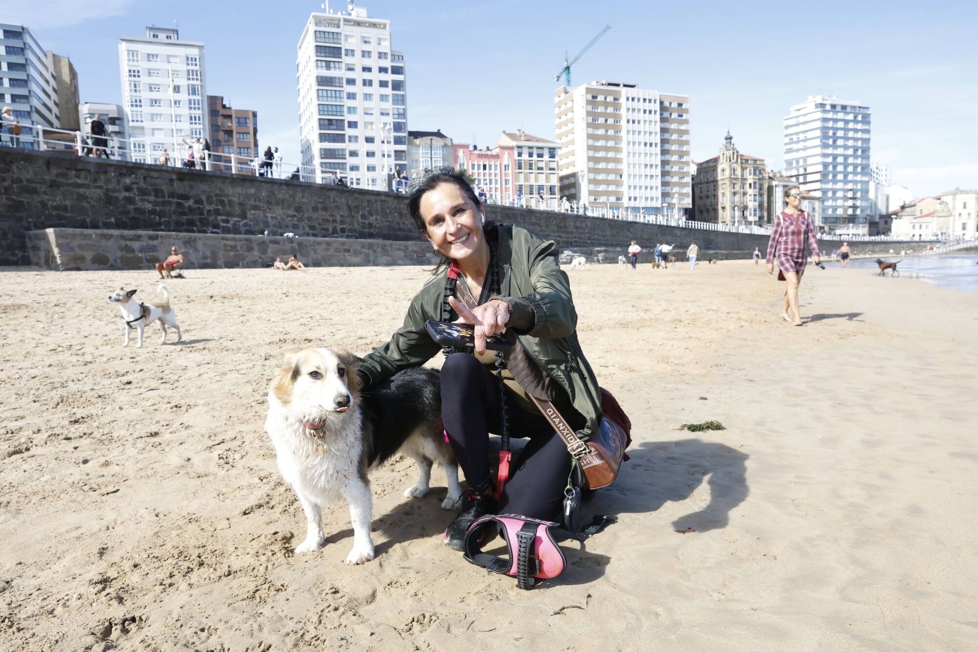 Regreso de los perros a la playa de San Lorenzo.