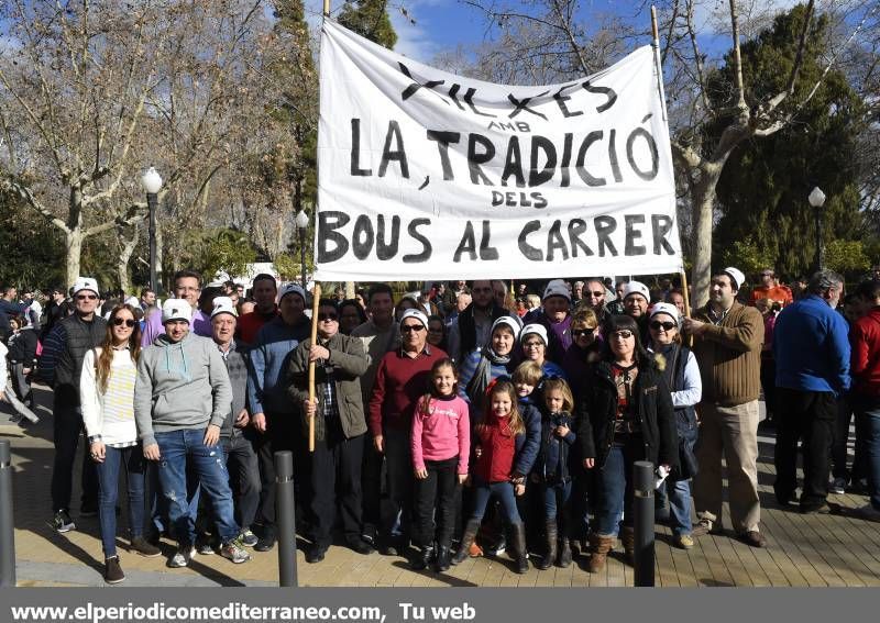 GALERÍA DE FOTOS -- Seguimiento de la manifestación protaurina -- Parte 1