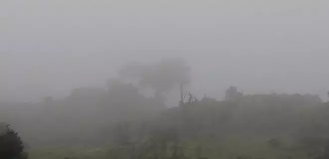 Fotogalería | Mañana de niebla en el norte de Cáceres
