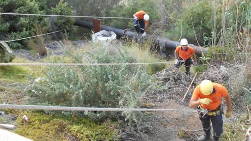 Expertos han recorrido diferentes zonas escarpadas del barranco del Salt con una tirolina, cuerdas y poleas, para limpiar en un espacio de difícil acceso.