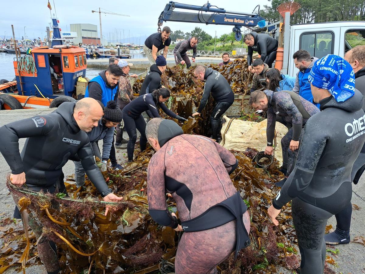 Participantes en la limpieza submarina de los fondos del islote Areoso. Participantes en la limpieza submarina de los fondos del islote Areoso.