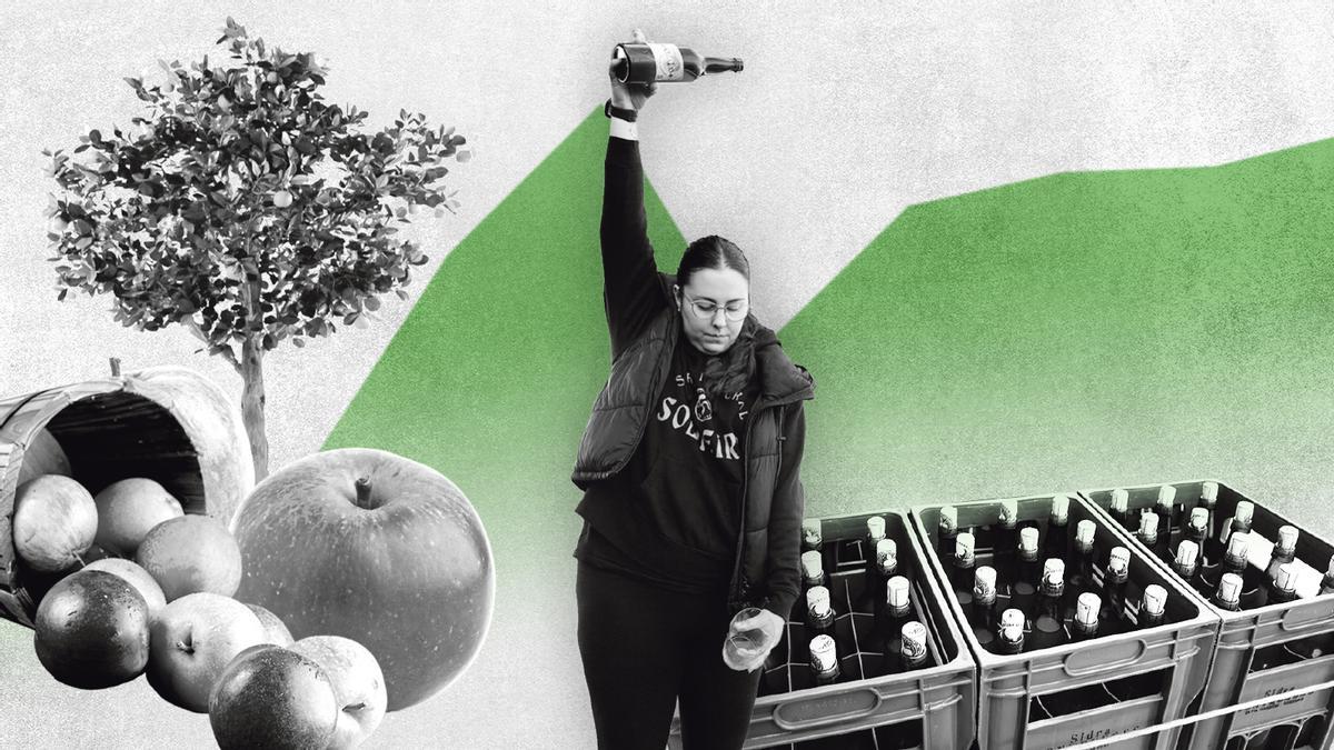 La producción de sidra de mesa cayó a dos mil botellas en 2025