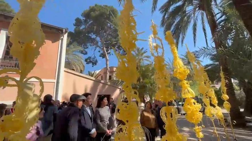 Elche reivindica la singularidad de su palma blanca en su envío protocolario al Papa, los Reyes y otras autoridades