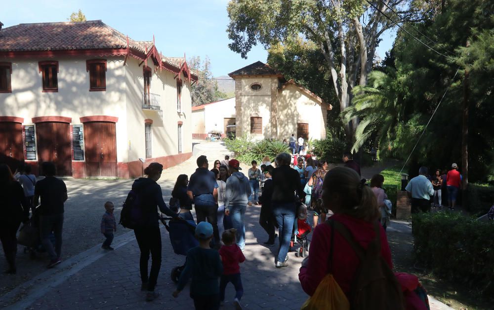 Afluencia masiva de público al botánico con motivo del mercado navideño que ofrecía, además, la posibilidad de visitar de forma gratuita, los jardines