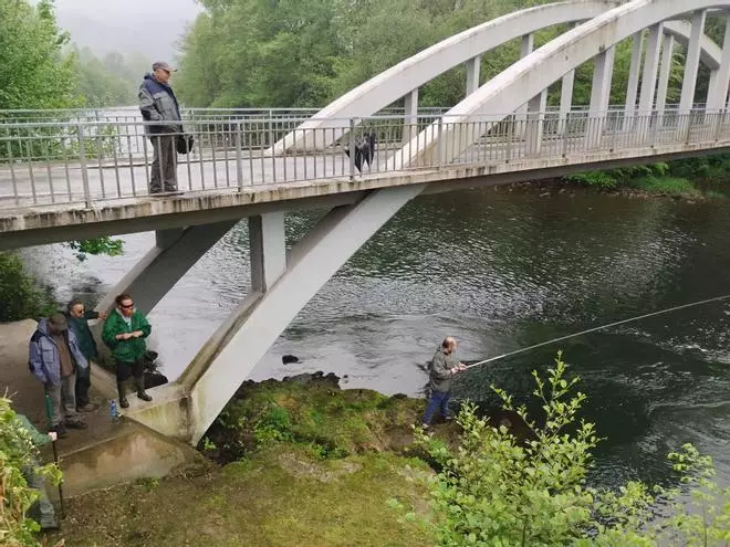 Muchos pescadores y pocos salmones en el Narcea a su paso por Salas, en imágenes