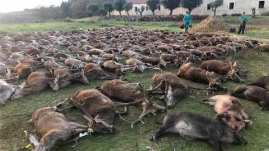 Una montería donde matan a más de 500 animales indigna a Portugal