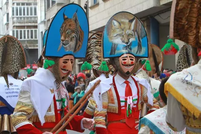 Culto al cigarrón en Verín