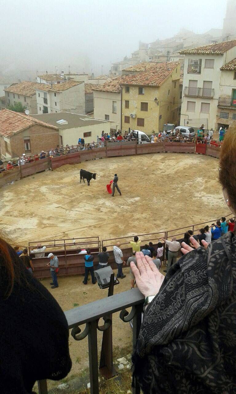 Fotogalería del Concurso 'Aragón en Fiestas'