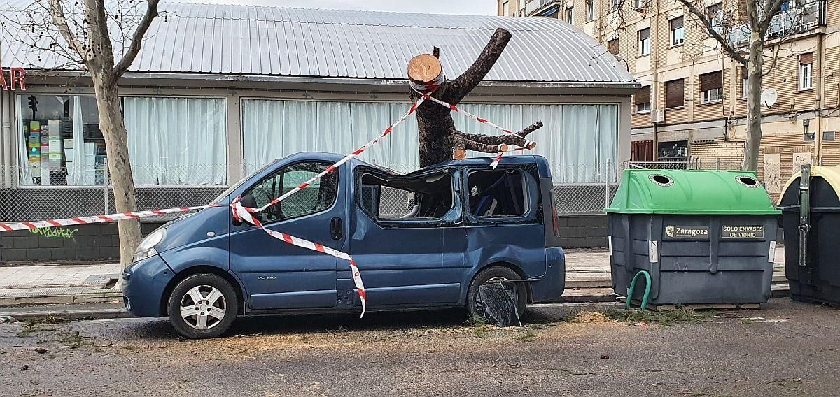 Daños causados por las fuertes rachas de viento registradas en Zaragoza por la borrasca 'Hortensia'