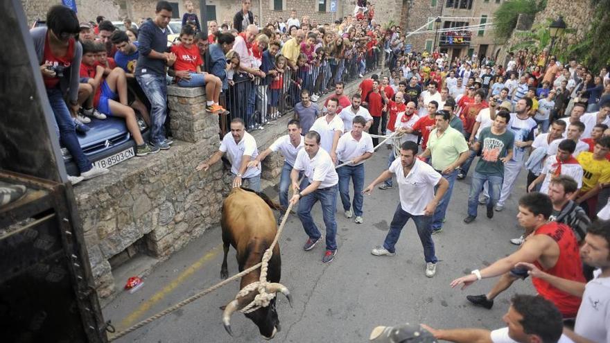 El ´correbou´ volverá a ser este año uno de los actos centrales de las fiestas.