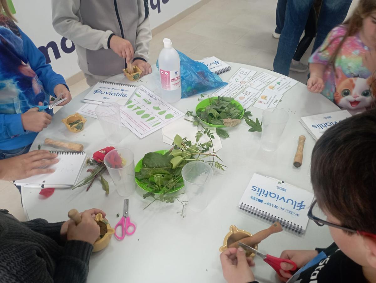Quart de Poblet organiza un taller de botánica, a través de la Fundación Limne, para todos los públicos