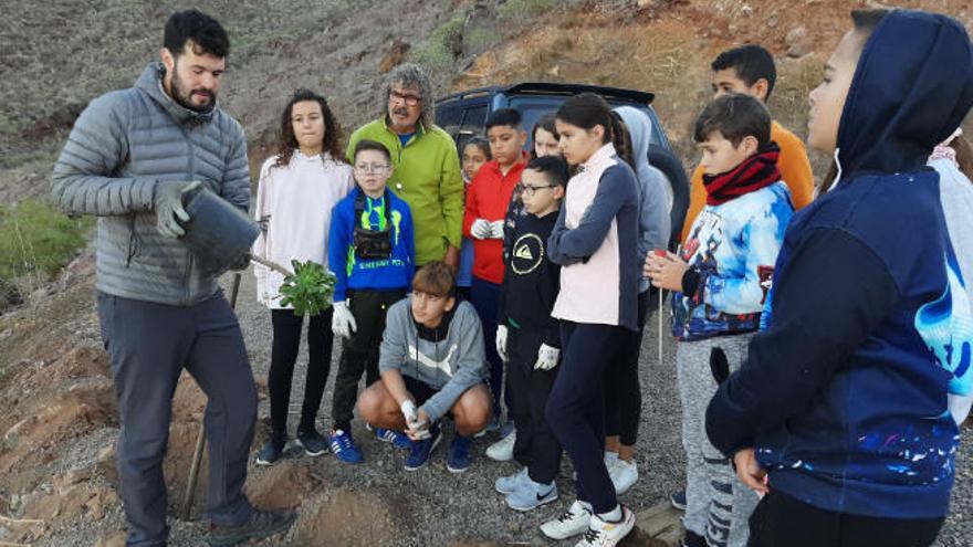 Imagen de archivo de una actividad ambiental con alumnado de La Aldea